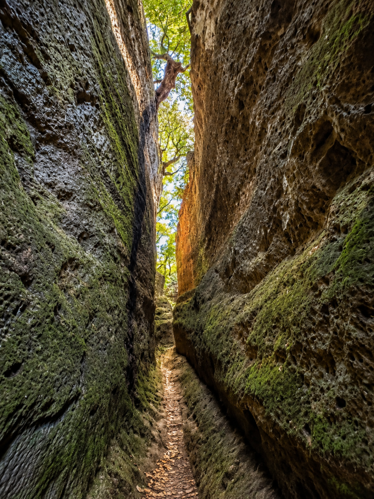 Via Cava di San Rocco – Vie Cave Etrusche di Sorano