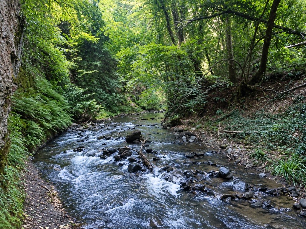 Fiume Lente flowing through the woodland near Sorano in Southern Tuscany