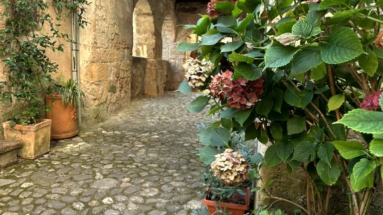 Flower-lined stone alley near Vicolo di Sorano holiday home
